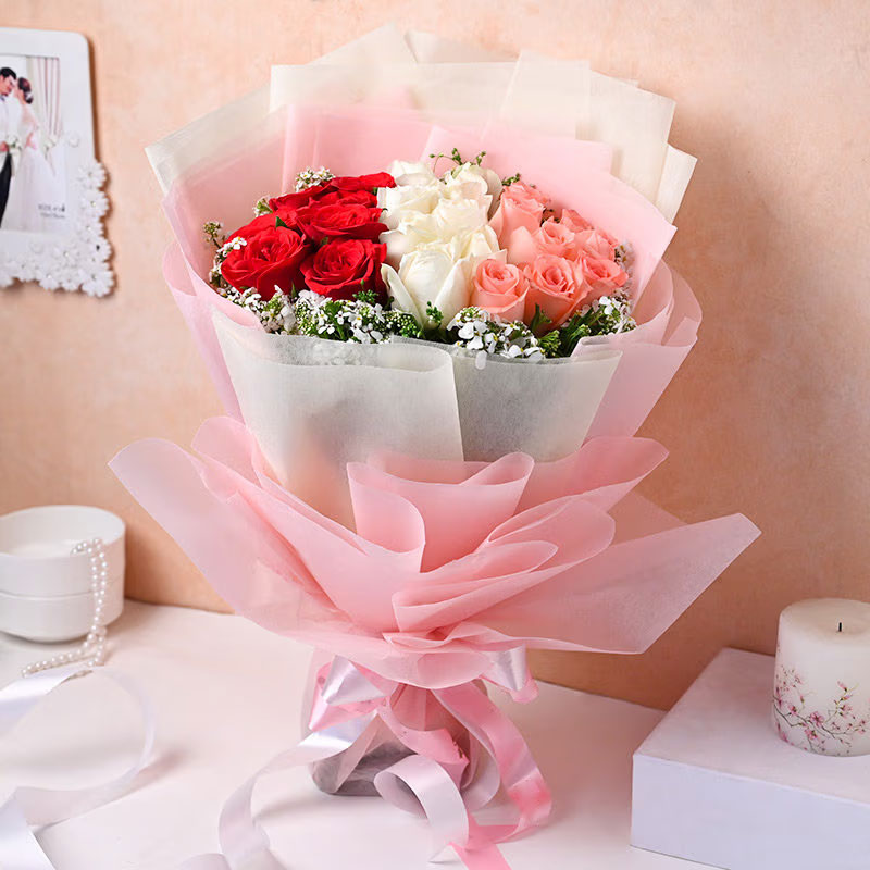 Pink and Red Rose
