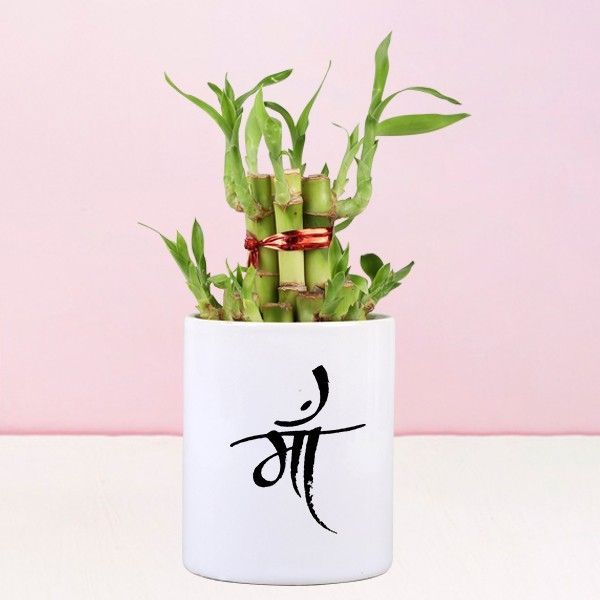 Plants for Moms